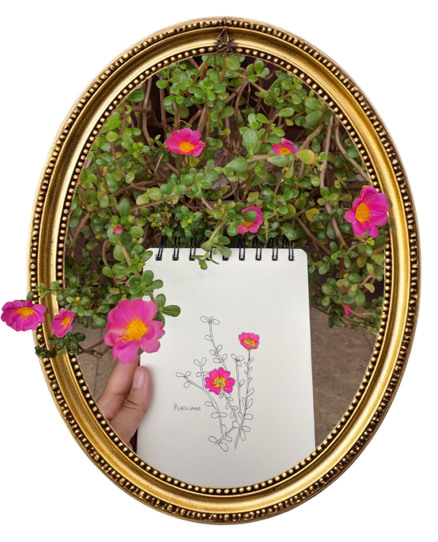 Pink flowers and notebook, oval frame